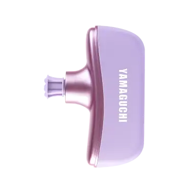 Yamaguchi Beauty Gun